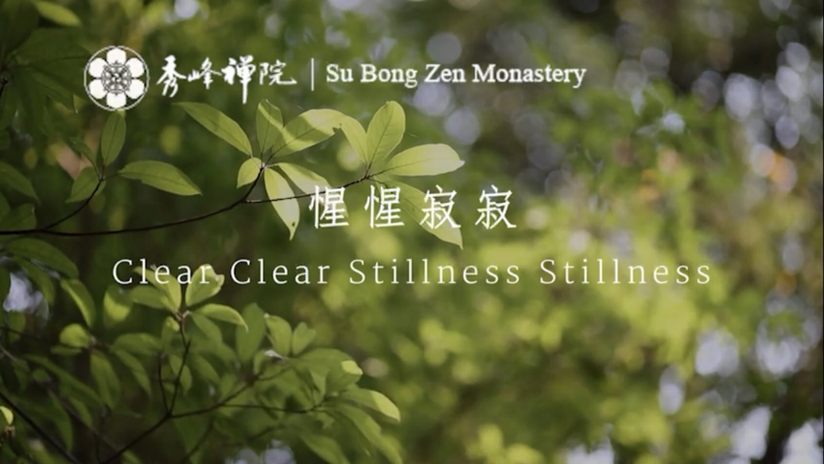 Clear Clear Stillness Stillness